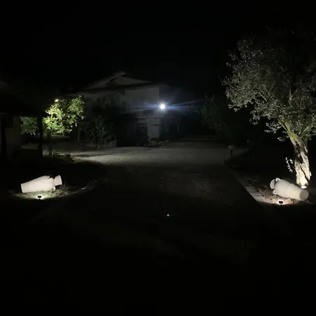 Tenuta Degli Uliveti