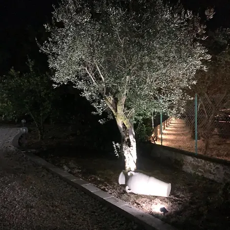 Tenuta Degli Uliveti 住宿加早餐酒店 *
