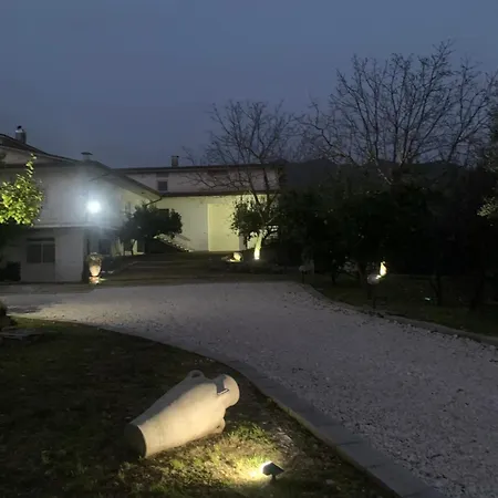 Tenuta Degli Uliveti